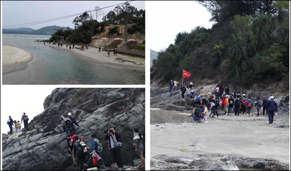 新美裝飾-新美動態(tài)5 (3).jpg