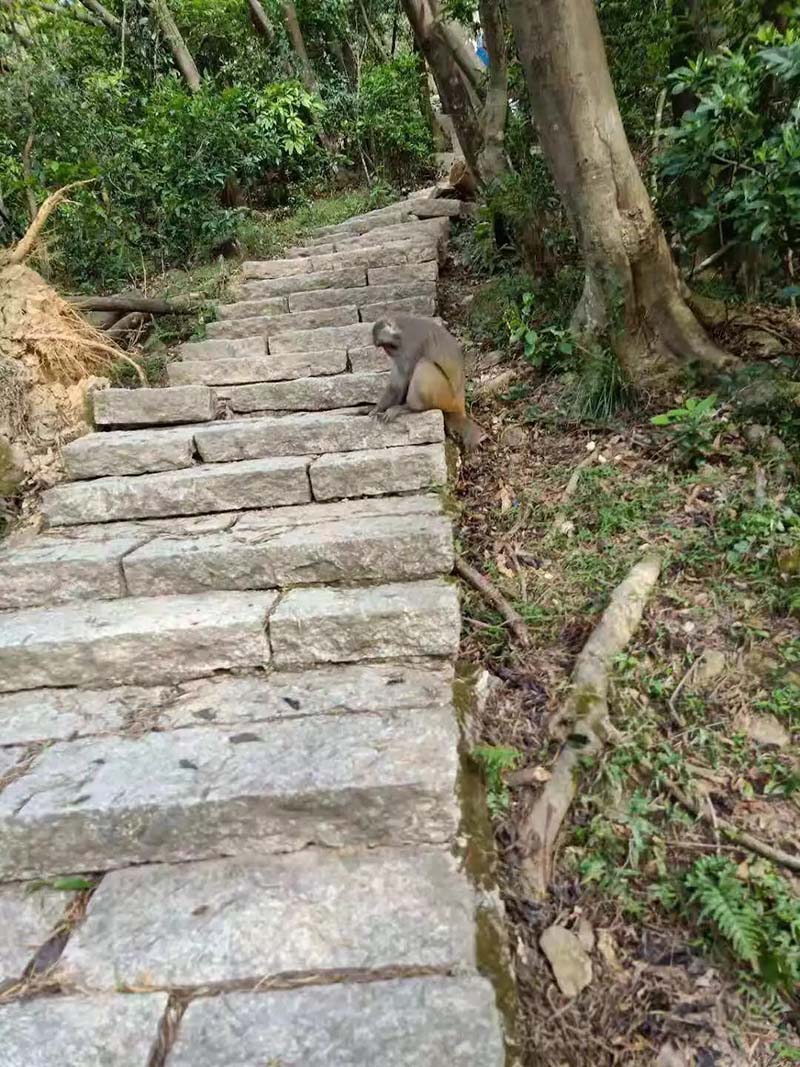 塘朗山攀登之行 塘朗山攀登之行