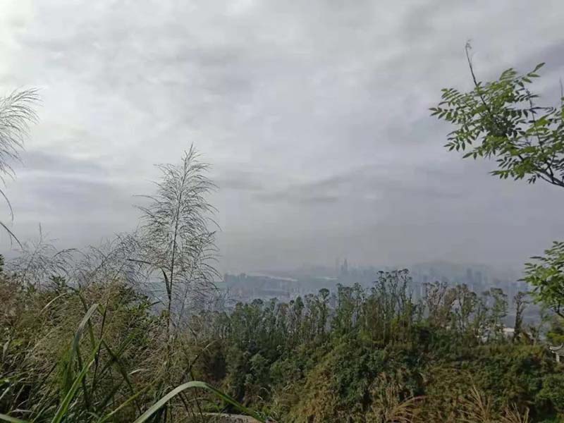 塘朗山攀登之行 塘朗山攀登之行